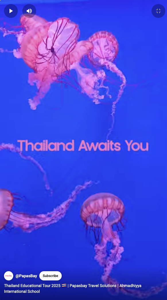 Discover Amazing Places