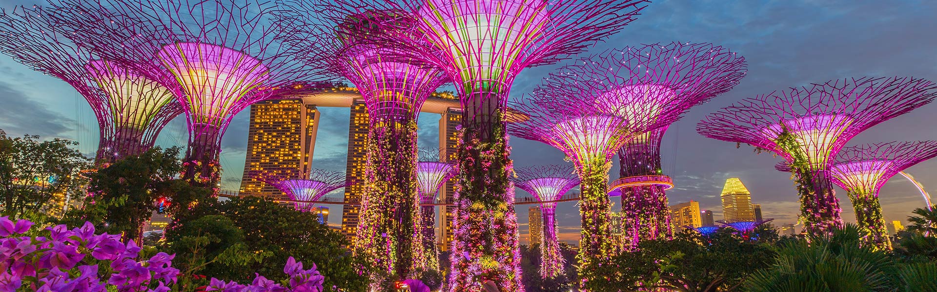 Gardens By The Bay